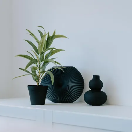 ベッド・アンド・ブレックファスト Maison De Luxe