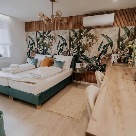 Maison De Luxe 3* Segedín