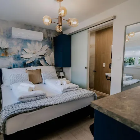 Maison De Luxe 3* Segedín