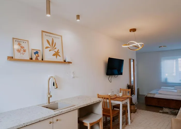 Maison De Luxe 3* Szeged