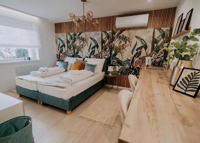 Maison De Luxe 3* Szeged