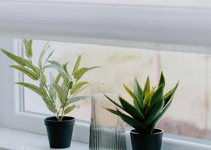 Maison De Luxe 3* Szeged